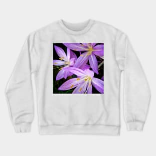 Saffron Crocus Flowers Photography Crewneck Sweatshirt